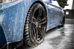 Paulo CARDINAL - Paulo Cardinal